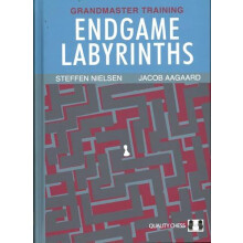 Endgame Labyrinths af Jacob Aagaard og Steffen Nielsen (hardcover)