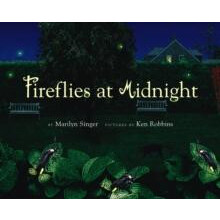 Fireflies at Midnight by Marilyn Singer Hardcover Book