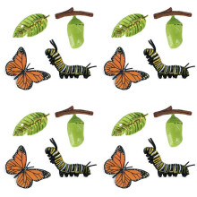 4X Simulation Life Cycle Figurine of A Monarch Butterfly Growth Cycle Insect Animals Educational Biology Science Toy