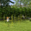 Set portatile per agility dog con ostacoli e pali, giallo 2