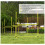 Set portatile per agility dog con ostacoli e pali, giallo 7