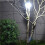 2X Camping Lantern with Hook, Waterproof LED Emergency Light - Solar Charging, Solar Lights 5 Light Modes 6