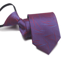 (Style 48)Boy Girl Polyester Business Tie Convenient Zipper Easy Wear Decoration Clothing