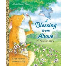 Blessing from Above by Elizabeth Edge Hardcover Book