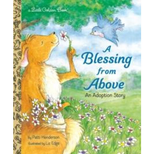 Blessing from Above by Elizabeth Edge Hardcover Book