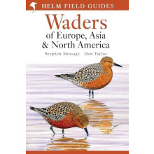 Field Guide to Waders of Europe Asia and North America by Don Taylor P
