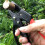 1pc Professional Ratchet Anvil Pruning Shears,Segmented Pulley Pruning Shears, Hand-Saving Branch Pruning Shears 4