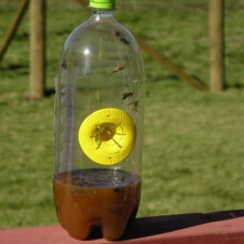 20 PièCes PièGe à Frelon Tigre PièGe à Abeilles PièGe à Frelon Ustensiles D'Apiculture Outils de RéColte de Frelon