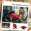 Poussette pliable Oxford rouge pour petits chiens et chats 6