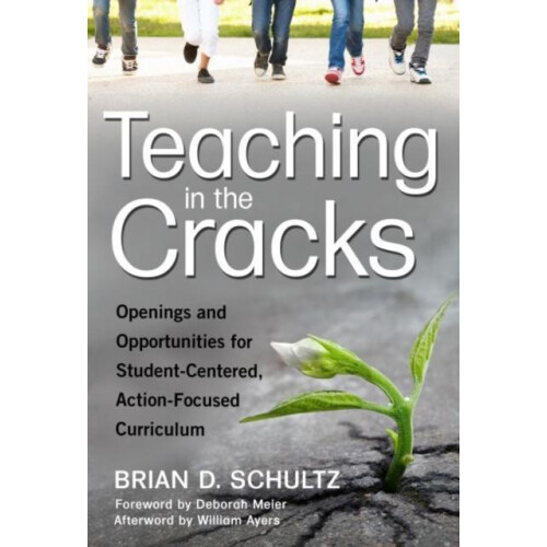 Teaching in the Cracks by Brian D. Schultz Paperback Book