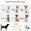 Poussette pliable pour animaux de compagnie avec coussin pour petits animaux 5