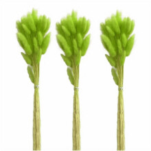 18" Natural Bunny Tails Dried Flowers, 100 Pcs Lagurus Ovatus for Vase, Wedding & Valentine's Decor