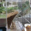 Automatic Transparent Bird Feeder, No Mess Automatic Bird Feeder Transparent Food Container Cage Drinker 8