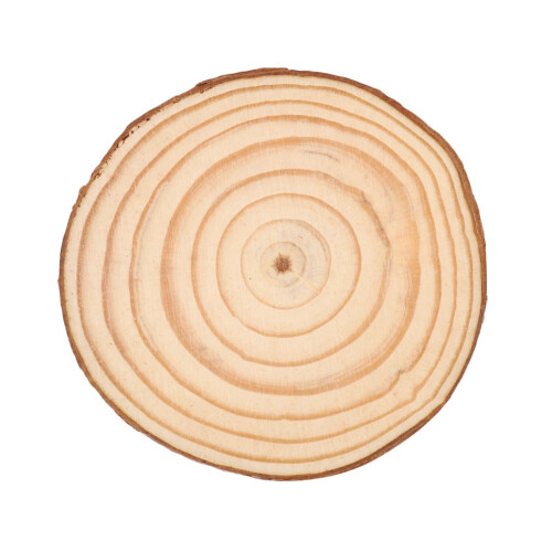 20PCS Natural Tree Round Wood Log Slice for Wedding Centerpiece Bark Table Decor 1