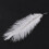 30 Pieces White Natural Ostrich Feather 20-25cm Wedding DIY 6