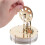 Low Temperature Stirling Engine Model Steam Power Science to Make Physical Experiment Toys Model Ornaments 6