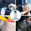 Plastic Spray Bottles for Cleaning Solutions,10OZ Reusable Empty Container with Durable Black Trigger Sprayer, 6Pack 8