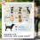Poussette pliable Oxford Blue pour petits chiens et chats 4