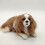 Realistic Charlie Dog 5
