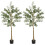 Homcom Olivos Artificiale Verde 15 x 15 x 150 cm 1
