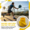 (1PCS) Racket Posture Corrector Silicone Shock Absorbing Accessory Easy Install Pickleball Beginner Training Correct Holding Posture 4