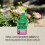 Ecofective Rose Defender 1L Child Pet Safe Spray 5