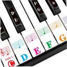 Piano Stickers for 88/61/64/49/37 Key, Piano Keyboard Stickers Full Set for White and Black Keys, Colors Bigger Letter-Thinner Transparent Material-E