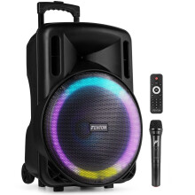 Fenton FT15LED MK2 15" Portable PA System - 800W Bluetooth Wireless Speaker with Microphone, Rechargeable Battery, LED Lights, USB & MicroSD Playback