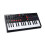 M-AUDIO Oxygen Pro Mini 32-Key USB MIDI Keyboard Controller for MacOS and WinOS, with Beat Pads, Assignable Knobs and Faders, and Native Instruments 1