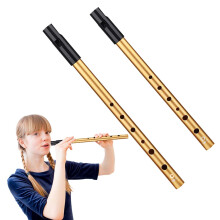 Tin Whistle, 2PCS Irish Penny Whistles for Traditional Celtic Music, C-Key & D-Key 6-Hole Aluminum Penny Whistle for Beginners Intermediate and Exper