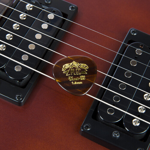 D'Andrea PRO-385 Guitar Picks 2