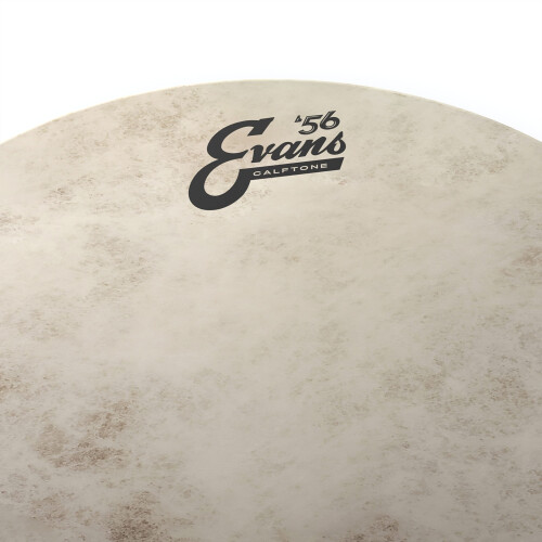 Evans Drum Heads - Calftone Tom Drumhead, 13 Inch 1