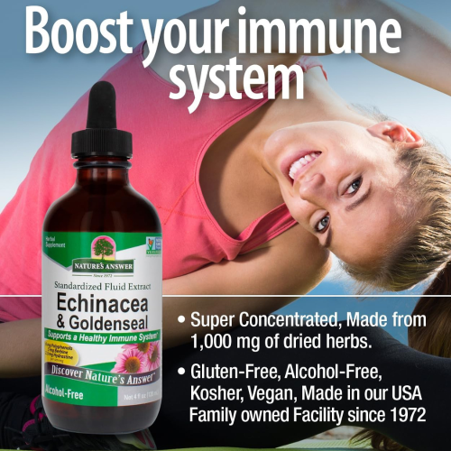 Nature's Answer, Echinacea & Goldenseal, Sem Álcool, 1 fl oz (30 ml) 1