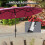 Outsunny Sombrilla Doble Rojo 295 x 152 x 222 cm 4
