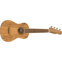 Fender Zuma Exotic Concert Ukulele, Walnut Fingerboard in Spalted Maple