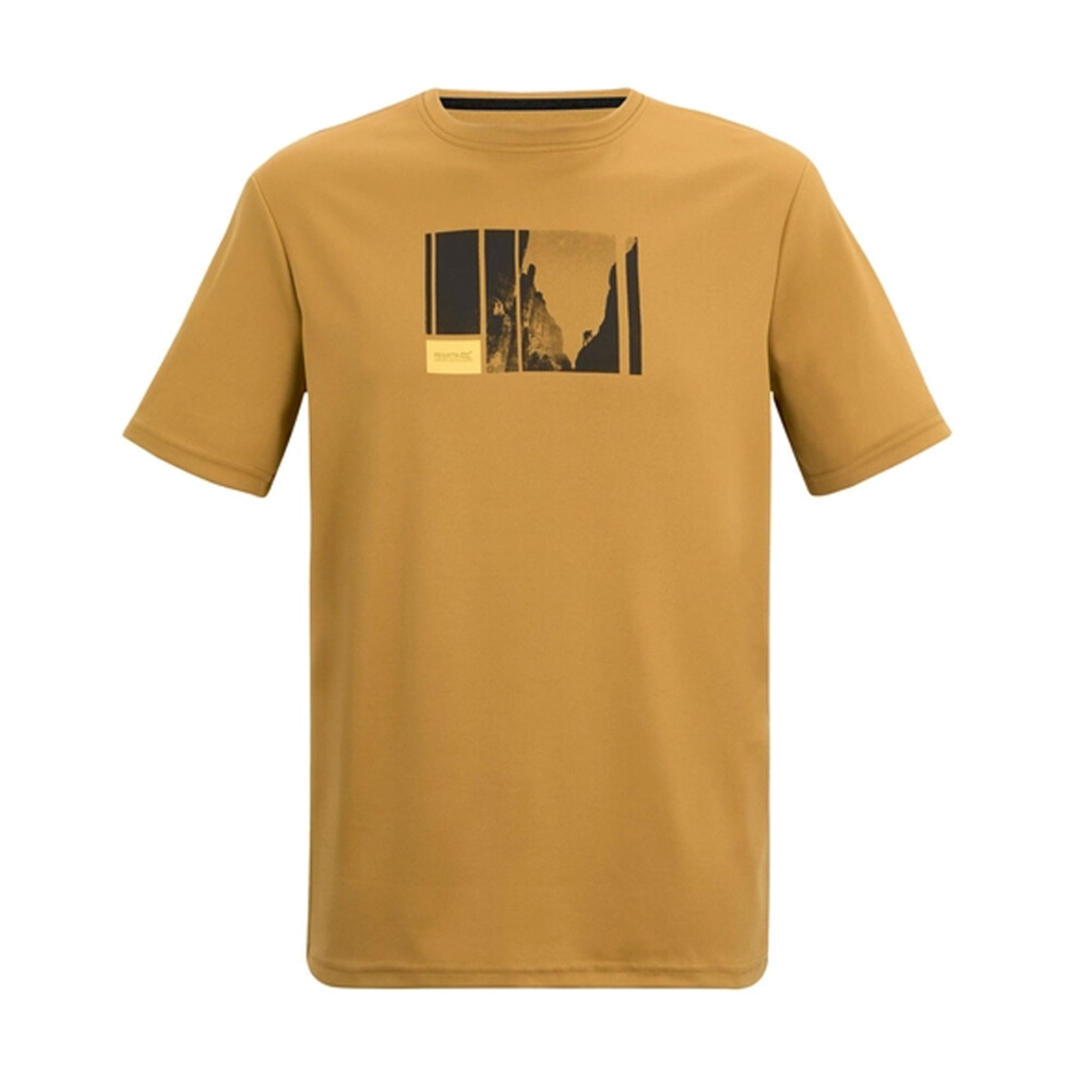 Regatta (3Xl, Wood Brown) Mens Fingal Mountain Climbing T-Shirt