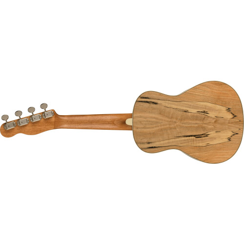 Fender Fender Zuma Exotic Concert Ukulele, Walnut Fingerboard in Spalted Maple 1