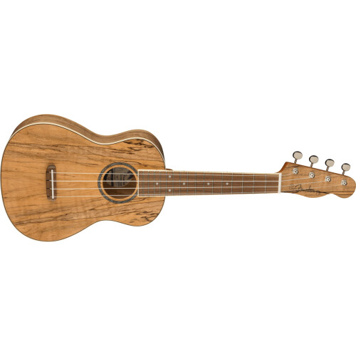 Fender Fender Zuma Exotic Concert Ukulele, Walnut Fingerboard in Spalted Maple 2