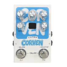 Stereo Delay Effect Pedal, 9 Algorithms, True Stereo I/O, Tap Tempo + Freeze, USB Recording for Stage & Studio