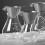 Glass Coffee Pot with Filter High Temperature Resistant Espresso Pots Graduated Scale Coffee Server 400ml 2