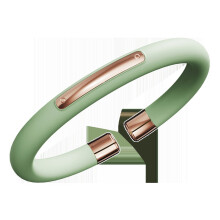(SH02 Green) Silicone Mosquito Repellent Bracelet with 6 Replacement Sticks for Adults, Kids & Babies