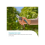 Gardena Gardena Secateurs PremiumCut Flex Bypass Multicolour 2