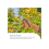 Gardena Gardena Secateurs PremiumCut Flex Bypass Multicolour 5