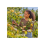 Gardena Gardena Secateurs PremiumCut Flex Bypass Multicolour 10