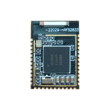 NRF52833 Module BLE 5.3 Multi-IO Port Multi-Protocol Module Secondary Development