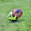 (4, Multicoloured) Precision Street Mania Rugby Ball 3