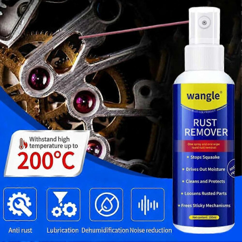 Dual Function Rust Remover And Lubricant Spray 100ml for Metal Protection 1