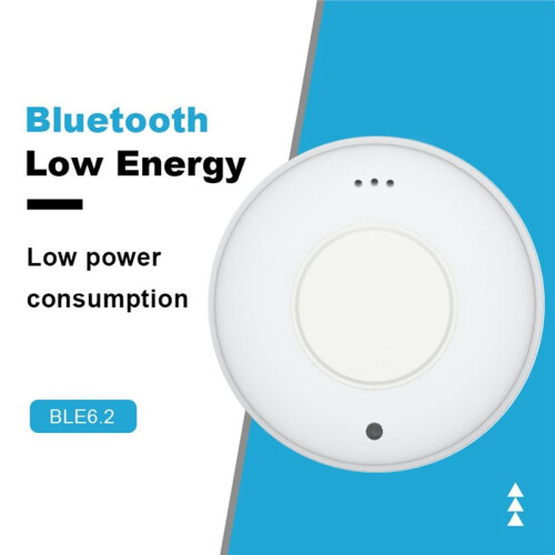BLE 6.2  Beacon Tag with Accelerometer and Buzzer NRF54L Wireless Module Indoor Positioning IBeacon Eddystone 2