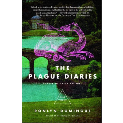 Plague Diaries by Ronlyn Domingue Paperback Book