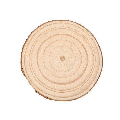 30PCS Natural Tree Round Wood Log Slice for Wedding Centerpiece Bark Table Decor 2